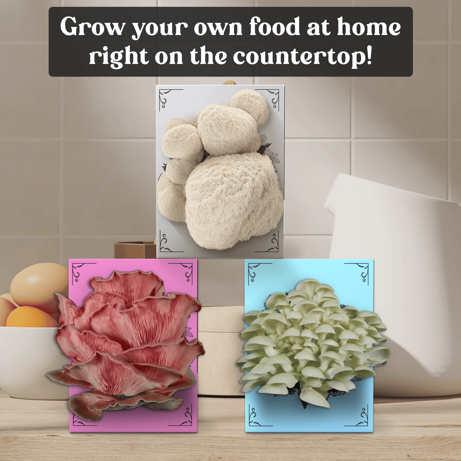 3-Pack of Organic Mushroom Grow Kits