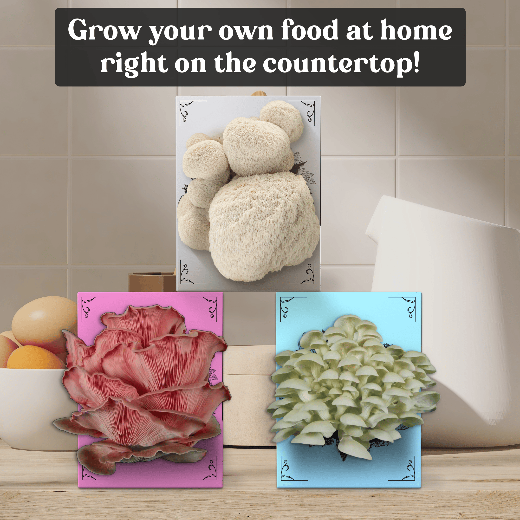 3-Pack of Organic Mushroom Grow Kits