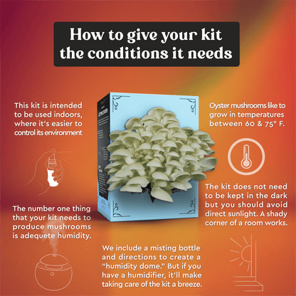 3-Pack of Organic Mushroom Grow Kits