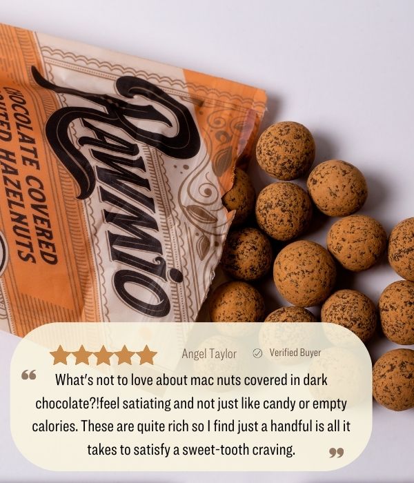 Chocolate Covered Sprouted Hazelnuts