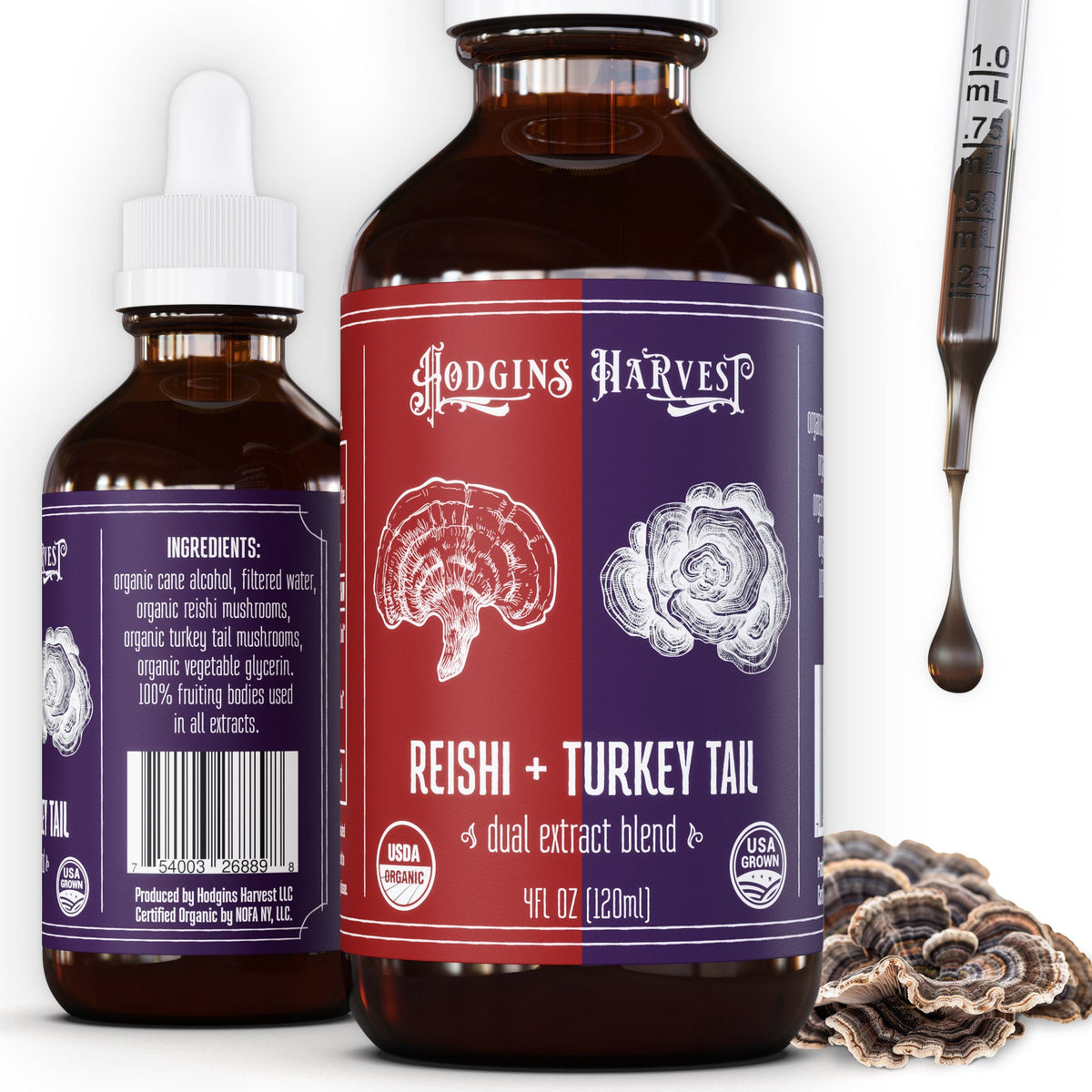 Reishi + Turkey Tail Dual Extract Tincture