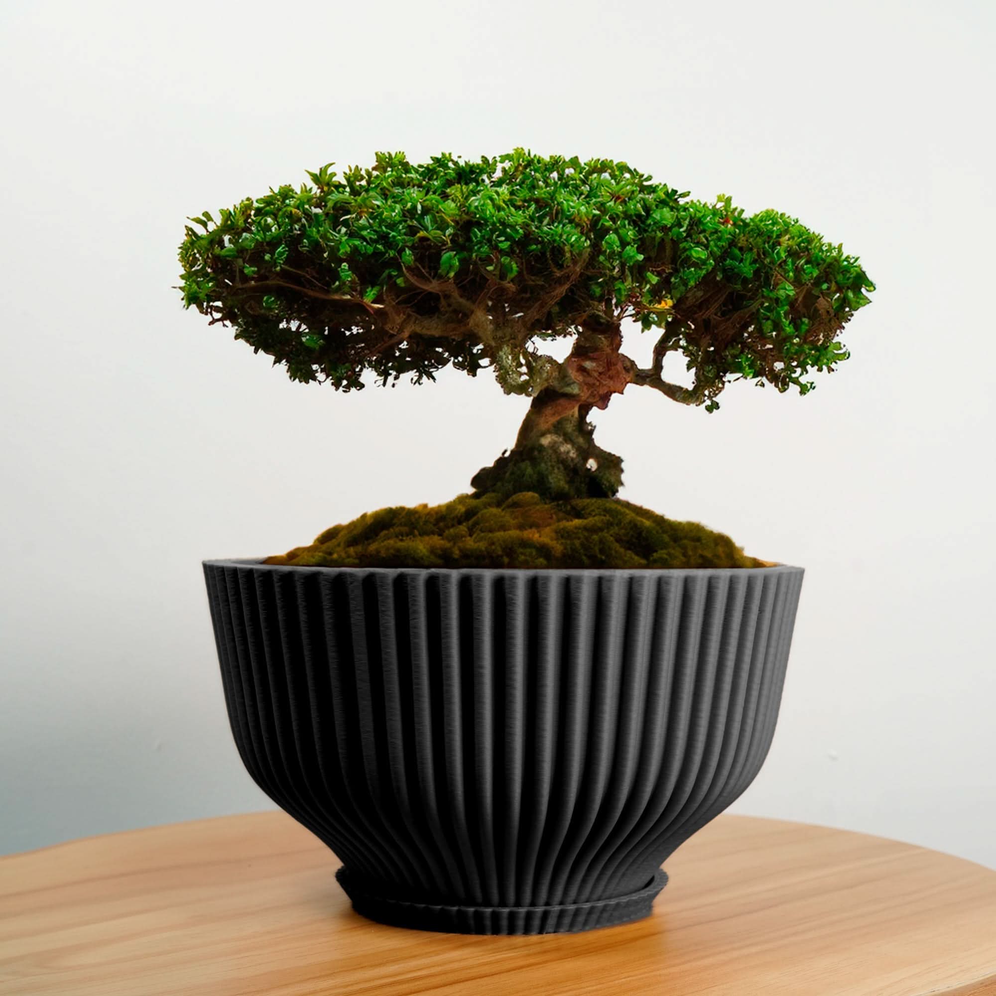 Rosebud HomeGoods Bonsai Pot with Drainage &amp; Tray