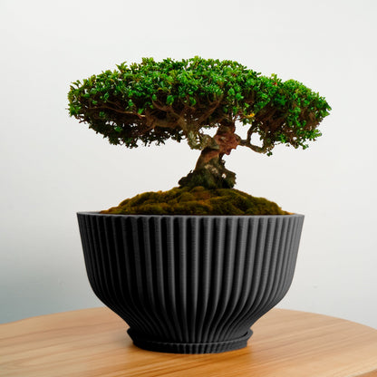 Bonsai Pot with Drainage &amp; Tray - My American Goods
