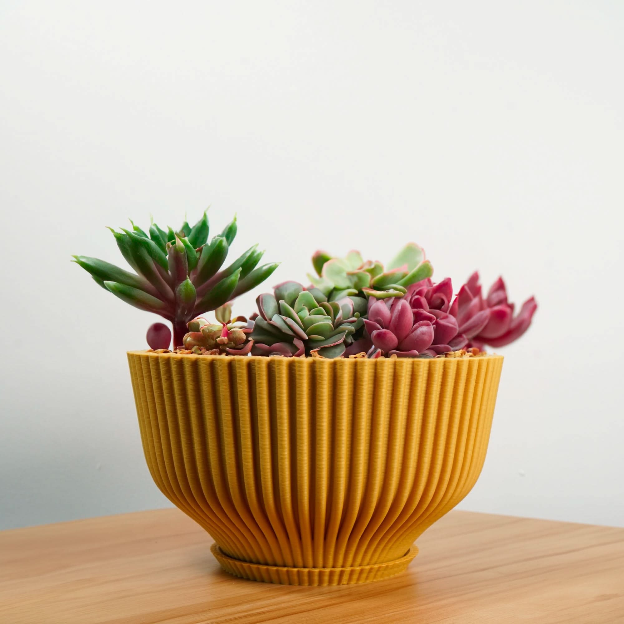 Rosebud HomeGoods Bonsai Pot with Drainage &amp; Tray