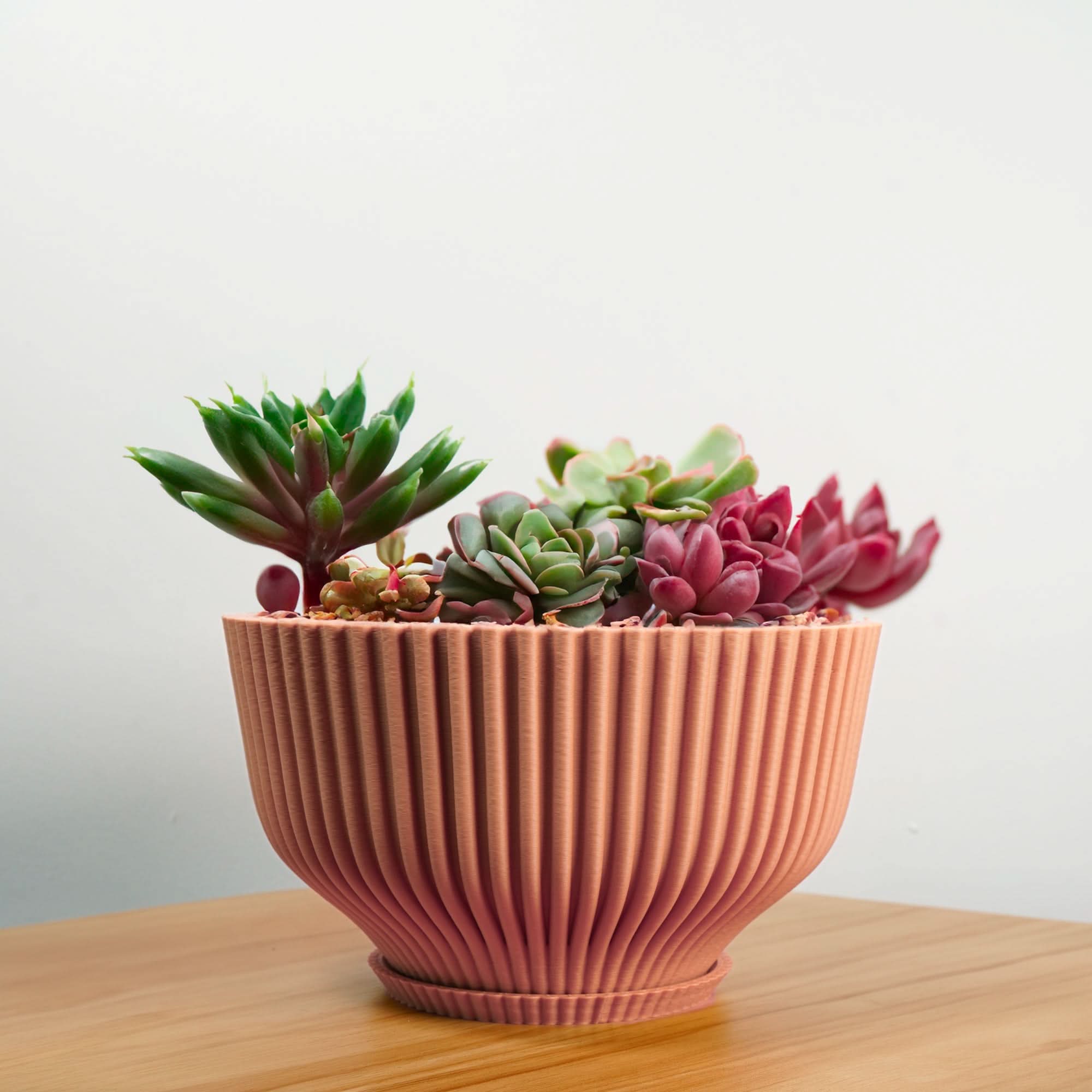 Rosebud HomeGoods Bonsai Pot with Drainage &amp; Tray