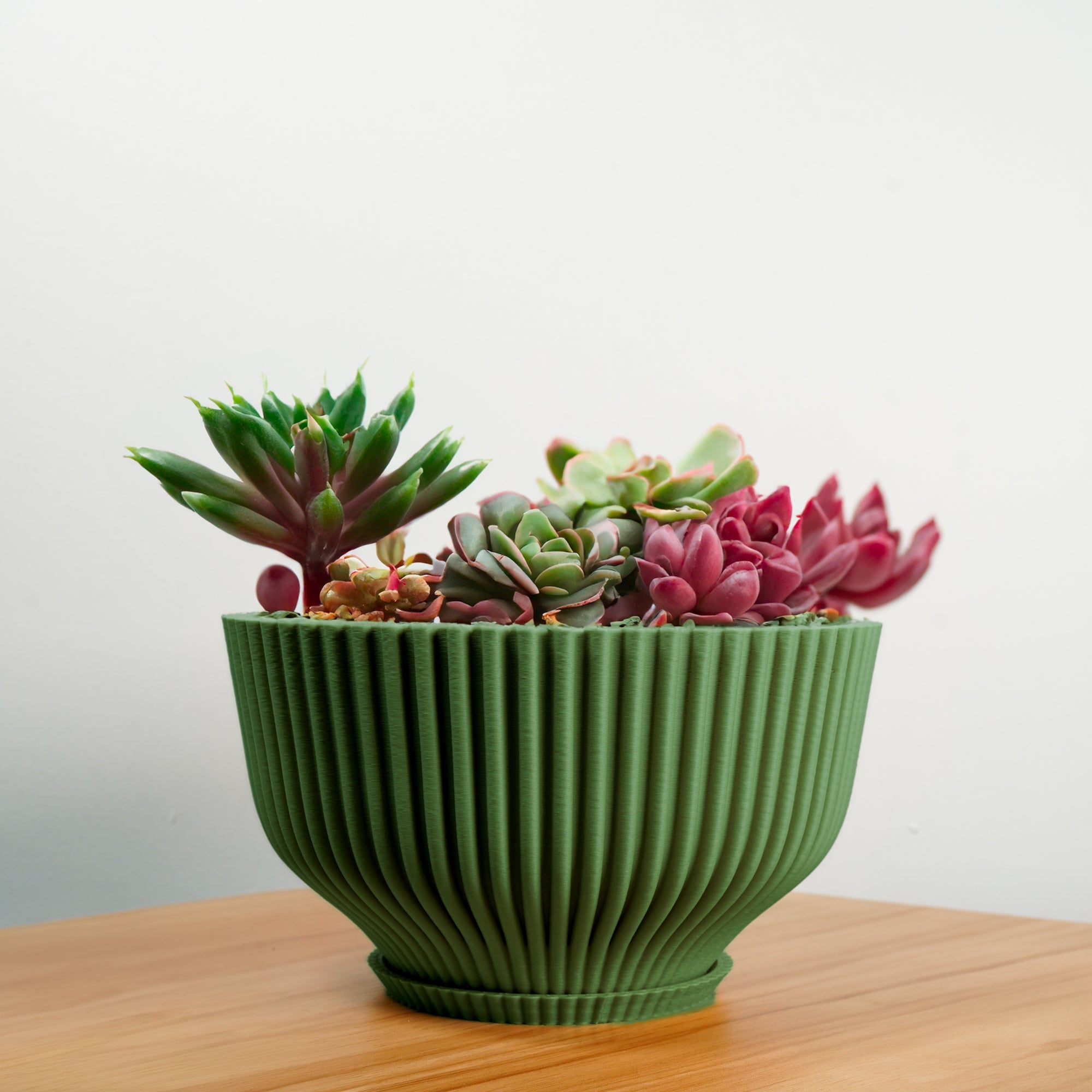 Bonsai Pot with Drainage &amp; Tray - My American Goods