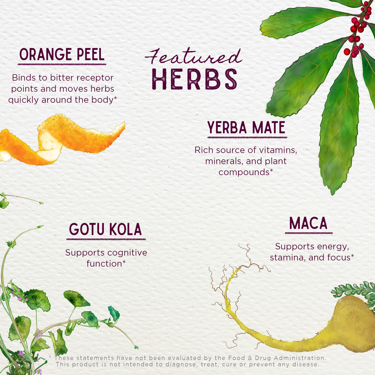 Rise &amp; Energize, Daily Energy Boost