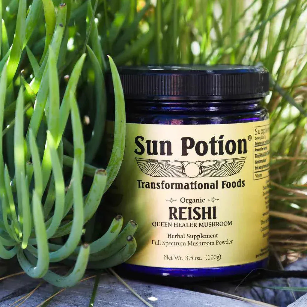 Sun Potion Adaptogen 100g Jar Reishi Mushroom Powder (Organic)