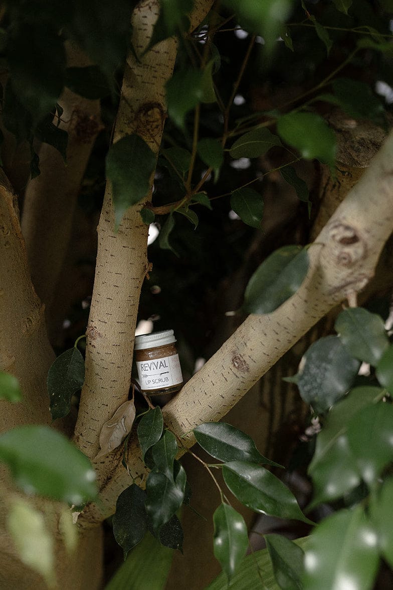 Revival Body Care LIP SCRUB ROSE &amp; VANILLA + SUGAR LIP SCRUB
