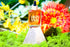 High Vibe Naturals 50 ml Revive | Saffron Face Oil