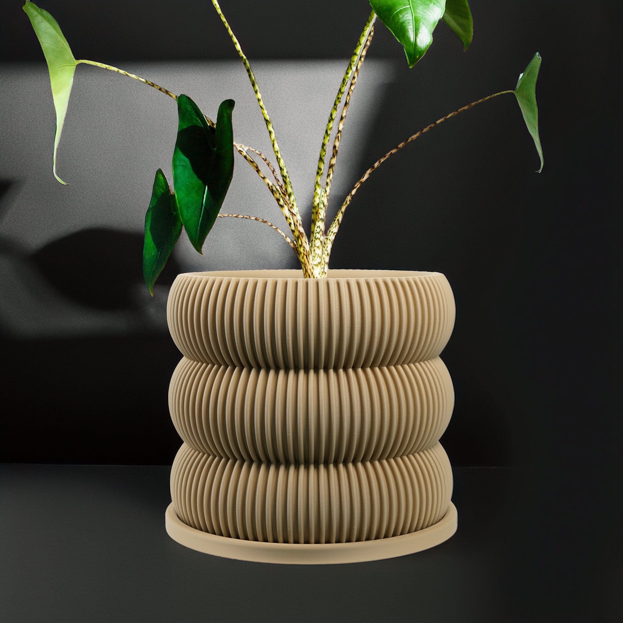 Rosebud HomeGoods Planter Beige / 4 Inch - No Tray Ribbed Bubble Plant Pot With Drainage and Saucer