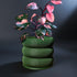 Rosebud HomeGoods Planter Green / 4 Inch - No Tray Ribbed Bubble Plant Pot With Drainage and Saucer
