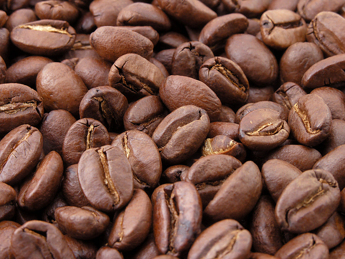 Wholesale Only - Coffee - Bulk Beans - 5 lbs - My American Goods