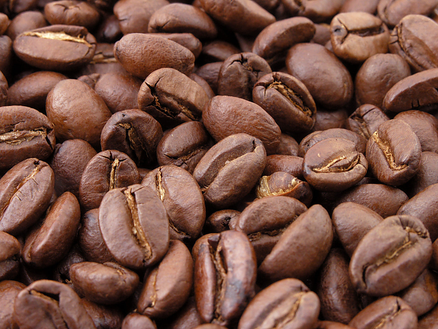 Wholesale Only - Coffee - Bulk Beans - 5 lbs - My American Goods