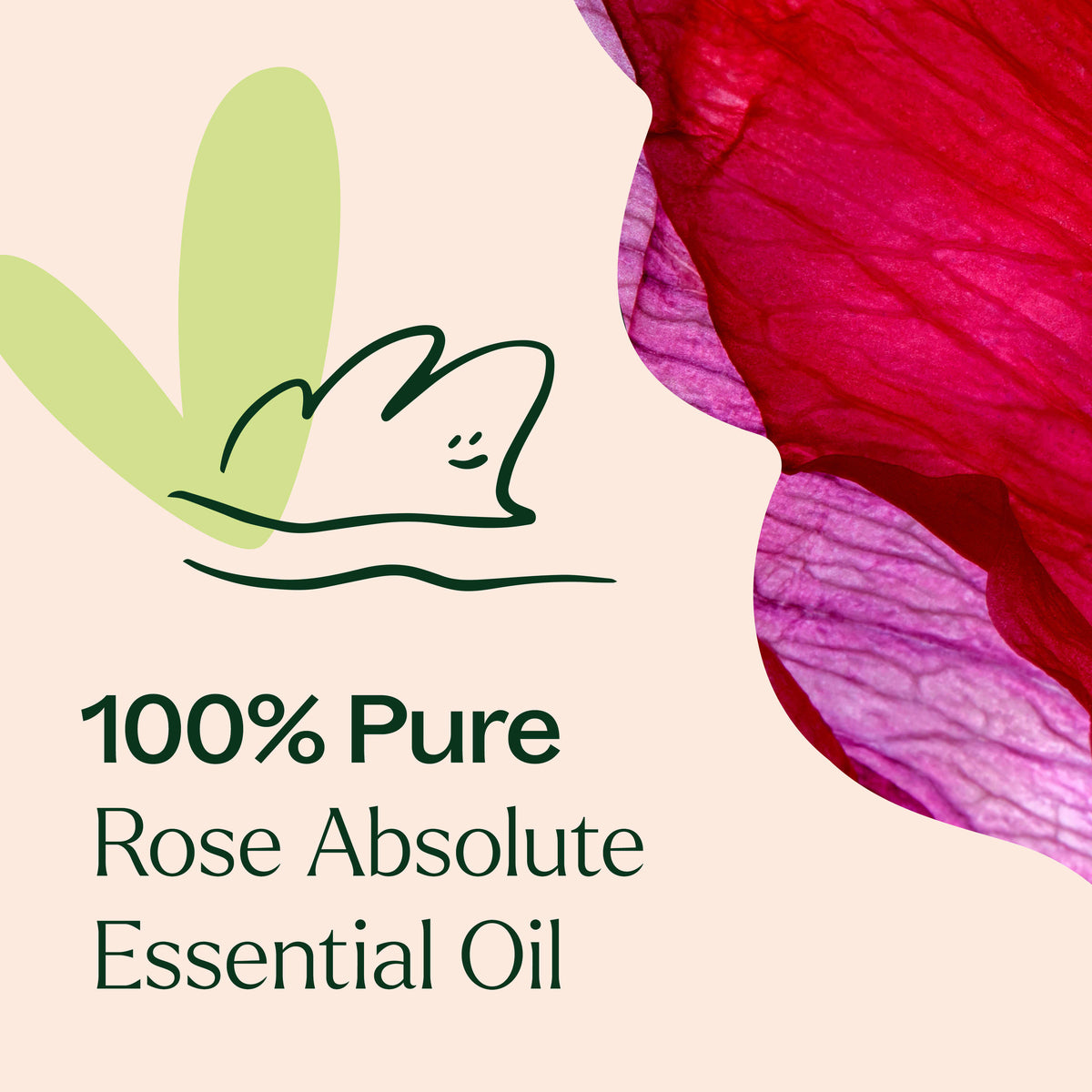 Rose Pure Absolute