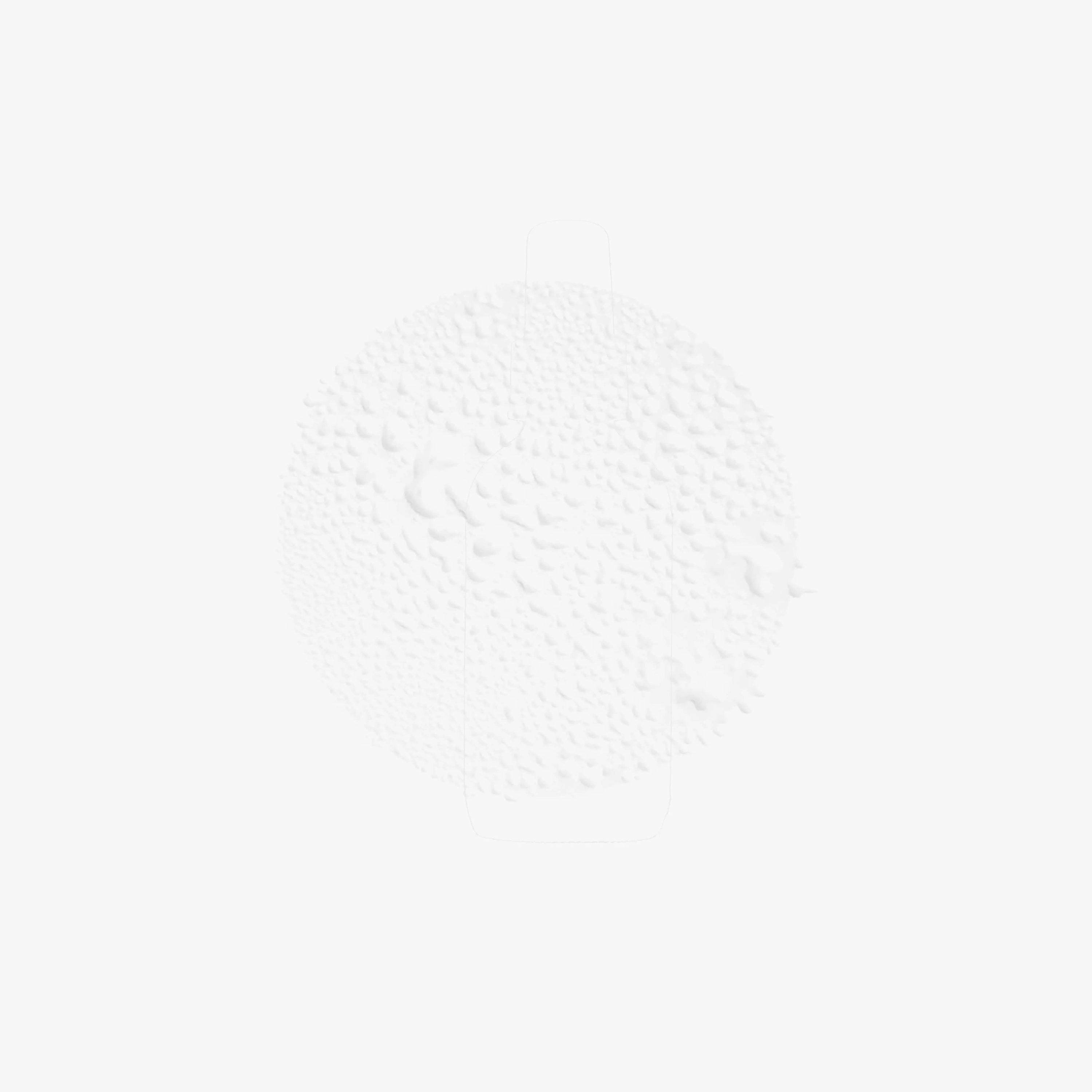 Ash + Stone Skincare Toner Rose Toner