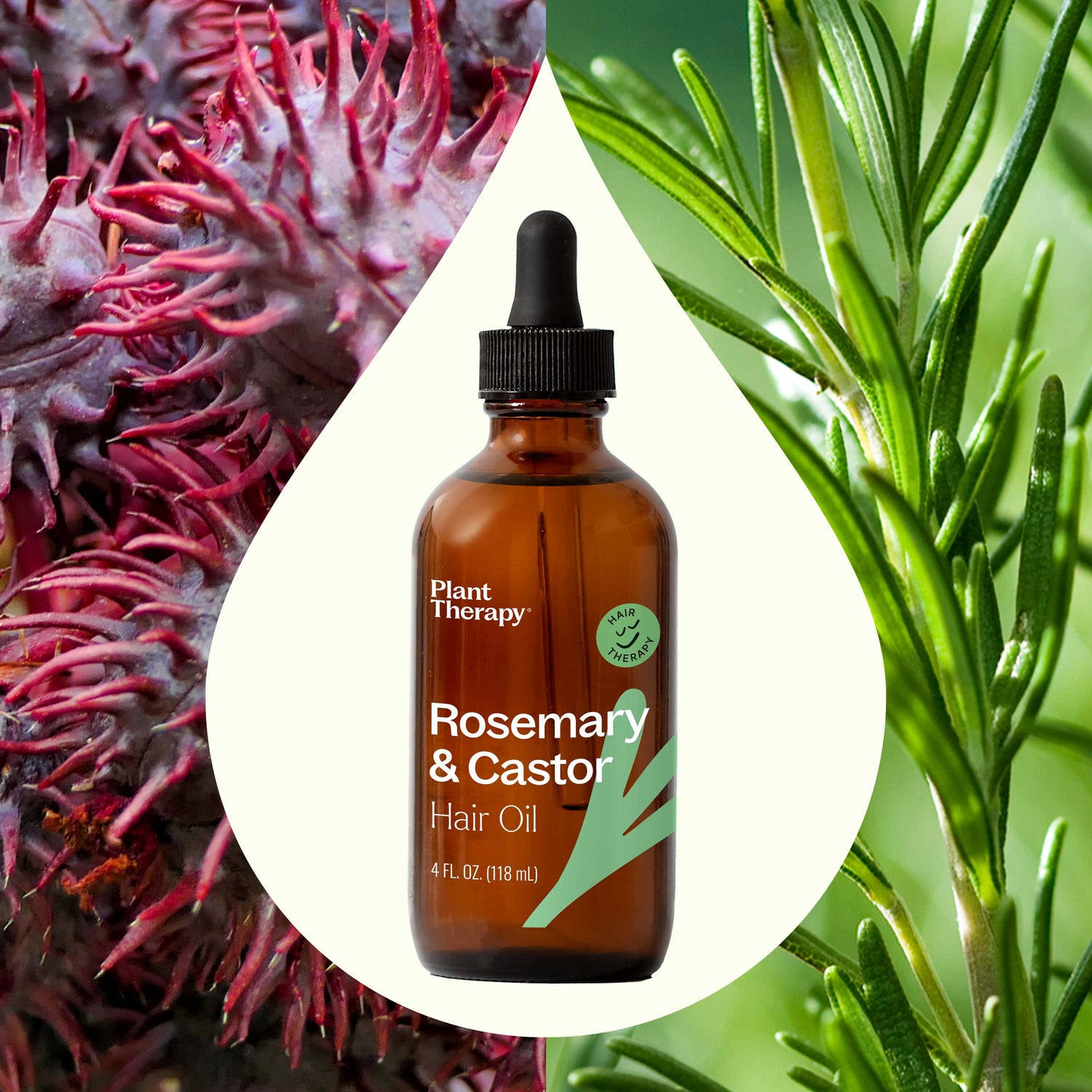 Plant Therapy Hair &amp; Skin Care 4 oz Rosemary &amp; Castor Hair Oil
