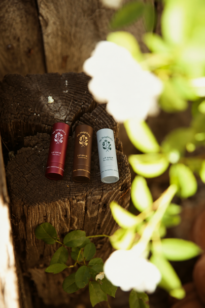 Blue Tansy Tallow Lip Balm