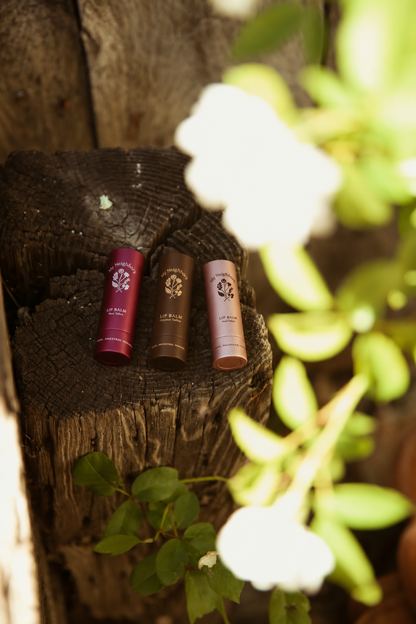 Coconut Tallow Lip Balm