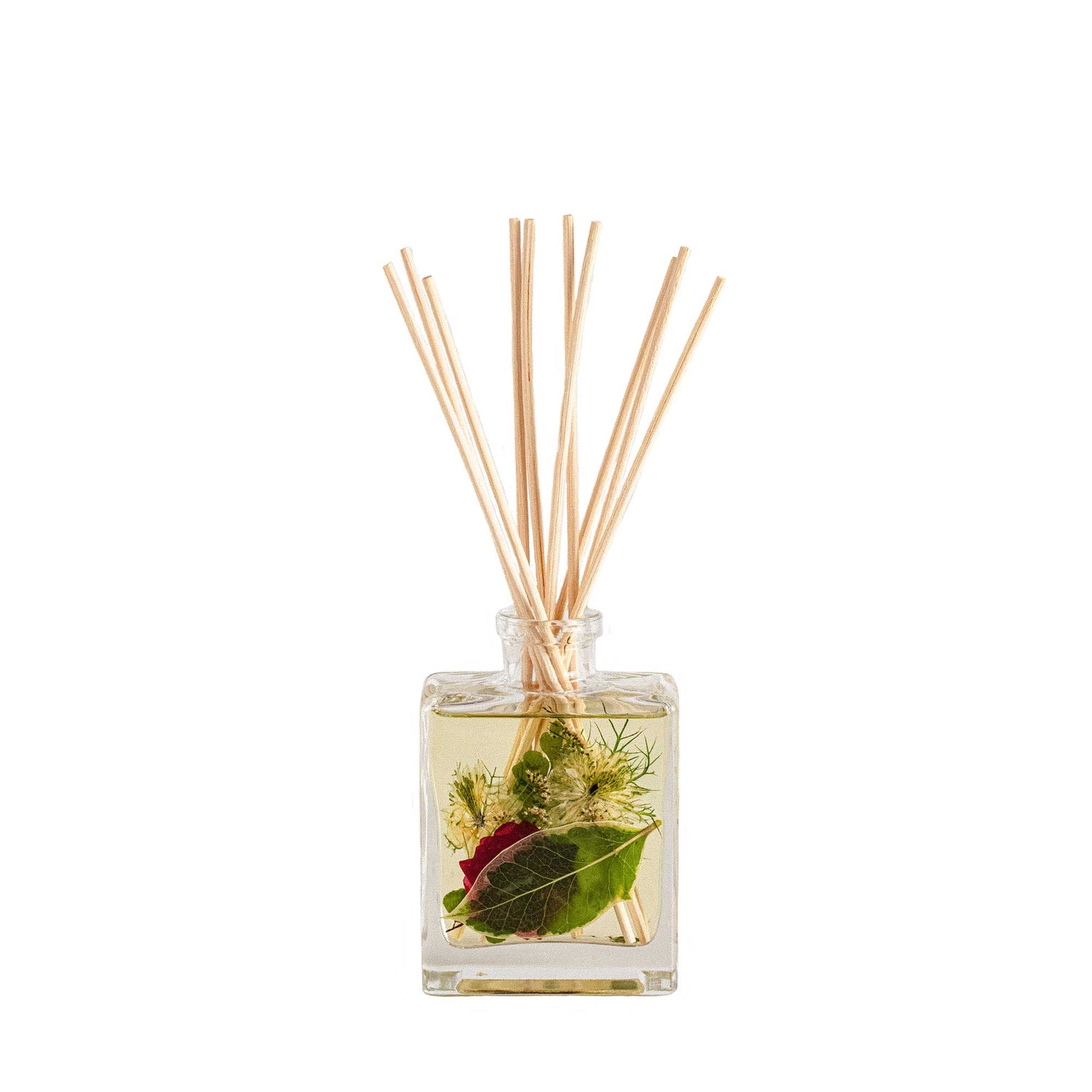 Accent Botanical Reed Diffuser - Winterberry Frost
