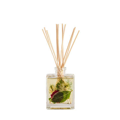 Accent Botanical Reed Diffuser - Winterberry Frost
