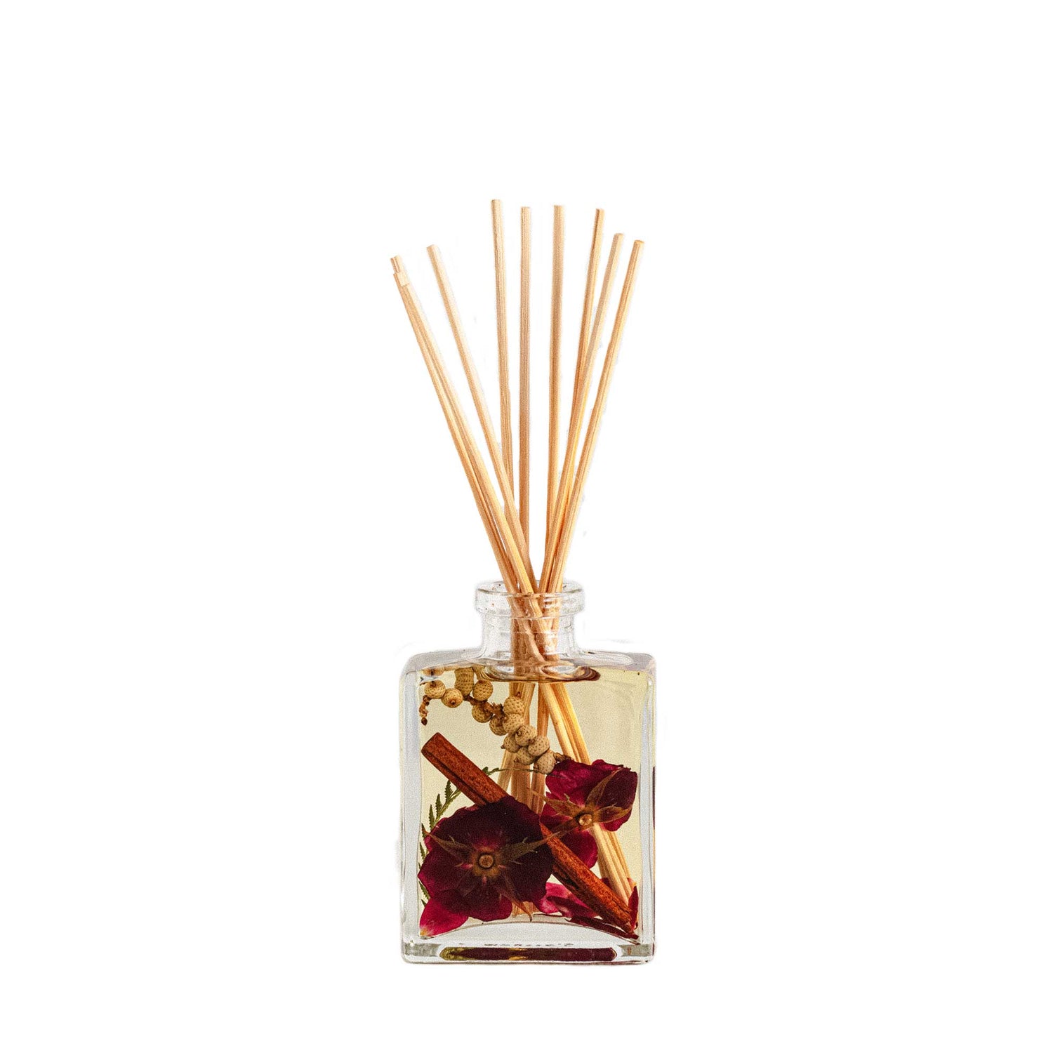 Accent Botanical Reed Diffuser - Spicy Apple