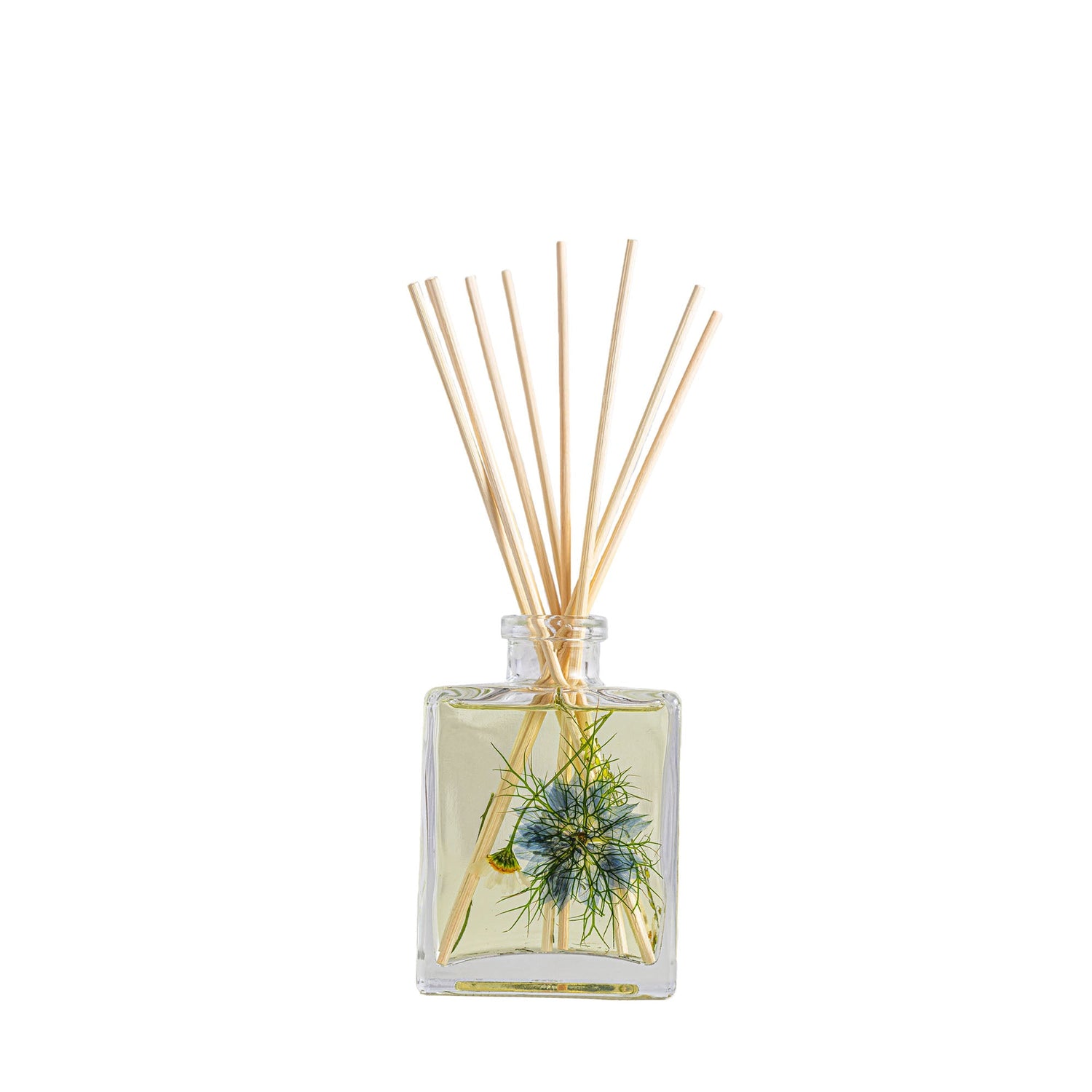 Accent Botanical Reed Diffuser - Sea Salt Mist