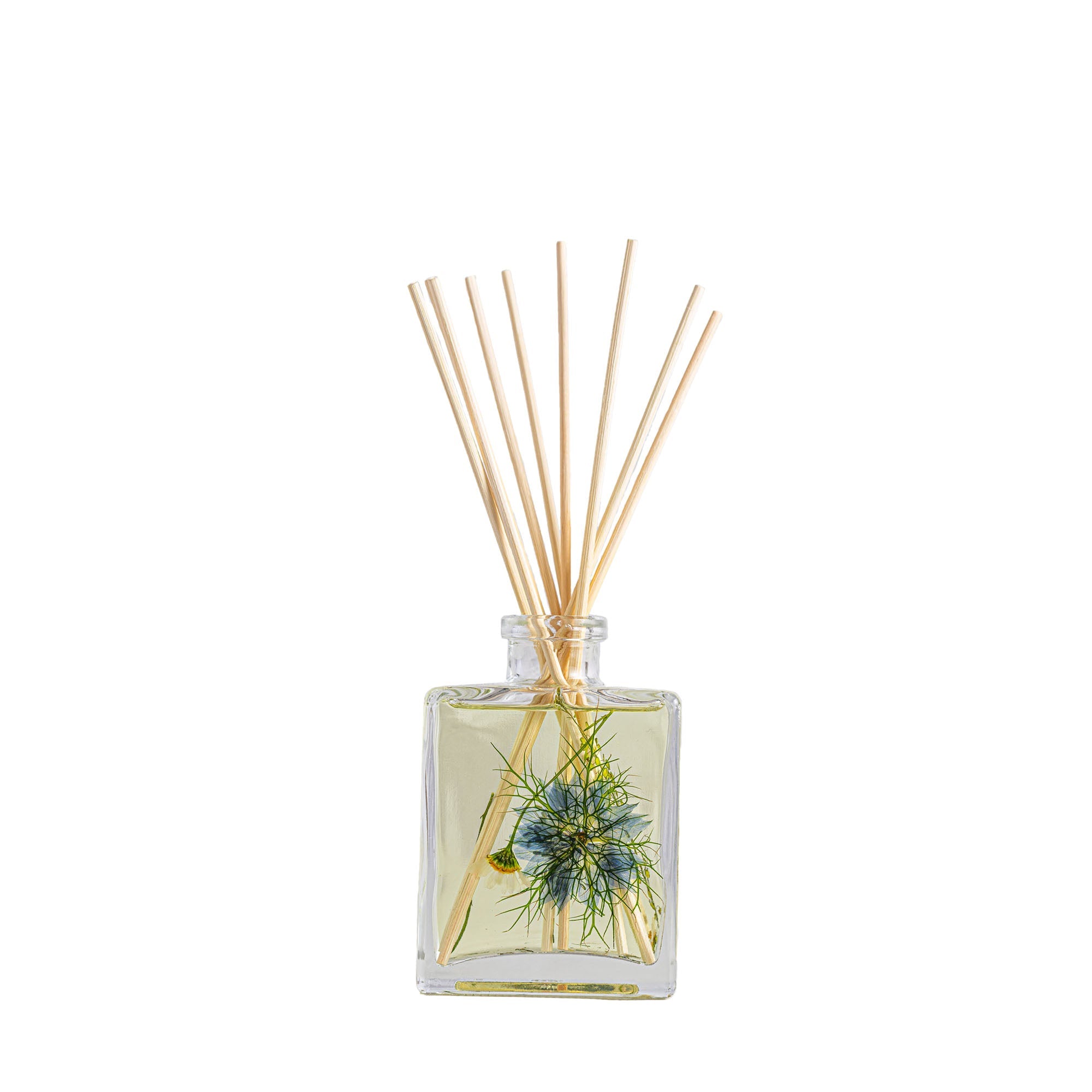 Accent Botanical Reed Diffuser - Sea Salt Mist