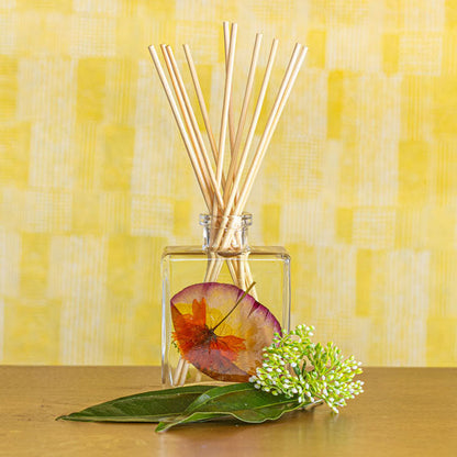 Accent Botanical Reed Diffuser - Sugared Citrus