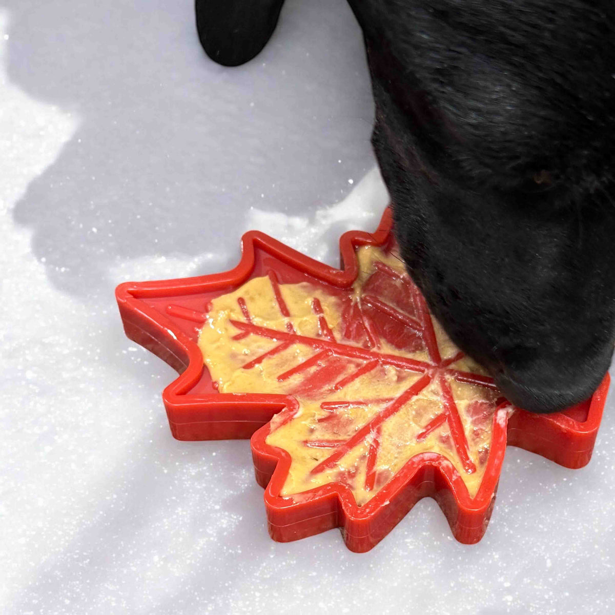 Canadian Maple Leaf Nylon Dog Chew Toy - Durable &amp; USA Made