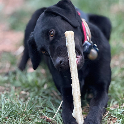 Durable Nylon Chew Stick for Power Chewers | Durable Dog Toy USA