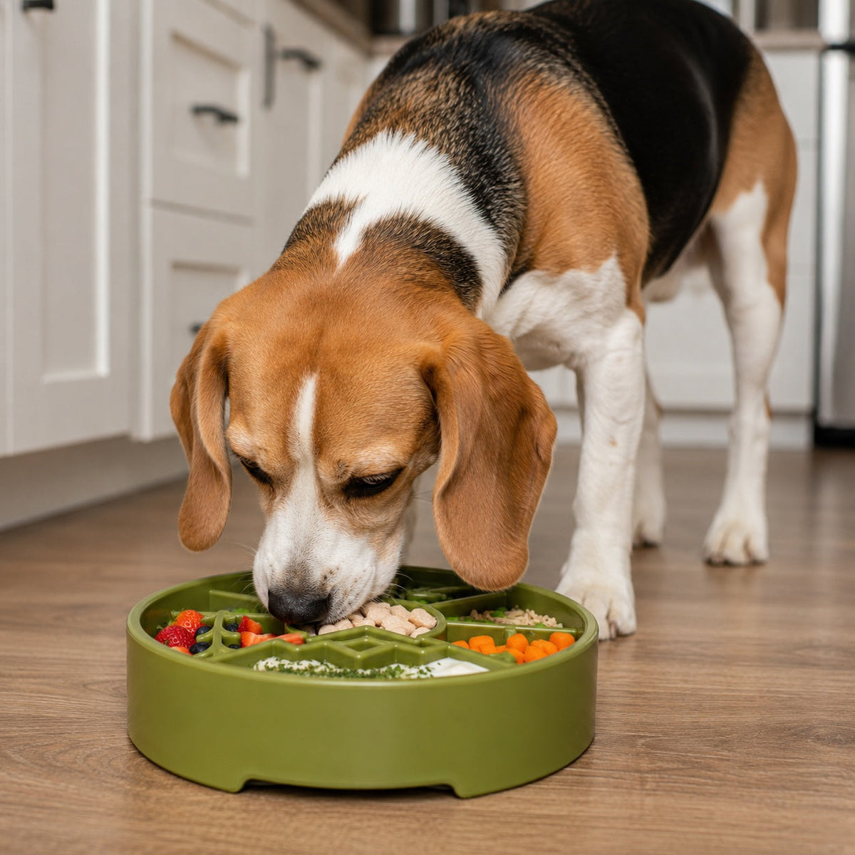 Great Outdoors eBowl - Slow Feeder Dog Bowl &amp; Enrichment | USA Made