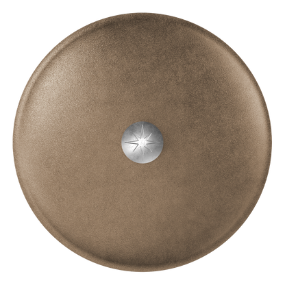 13.5-Inch Cast Iron Lid