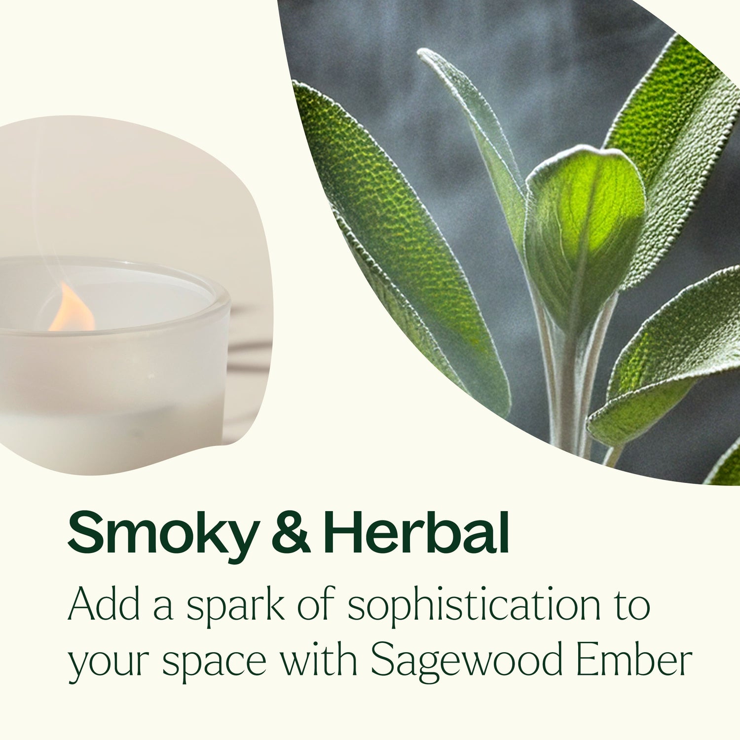 Sagewood Ember Naturally Scented Candle - My American Goods