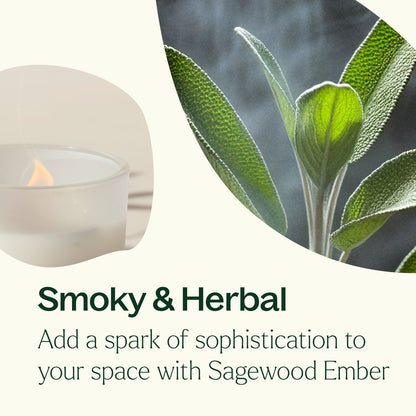 Sagewood Ember Naturally Scented Candle - My American Goods