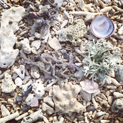 Shoreline Upcycled Salt Soak