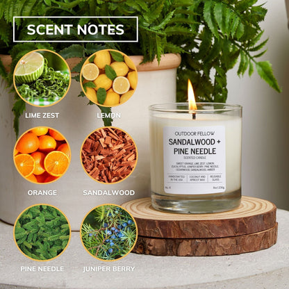 Sandalwood and Pine Needle Scented Candle