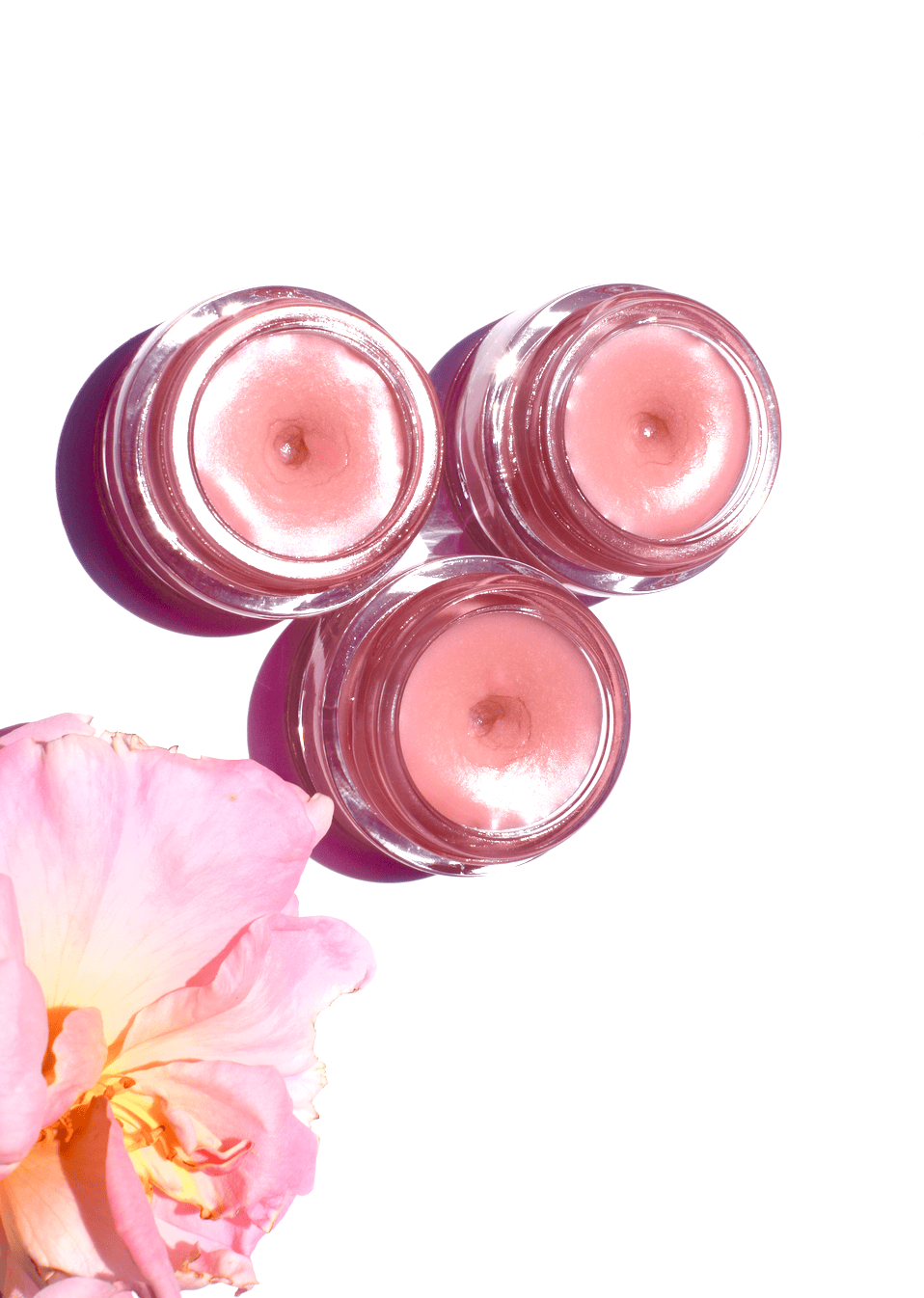 plant makeup Strawberry Dreamsicle Lip Balm Scrub