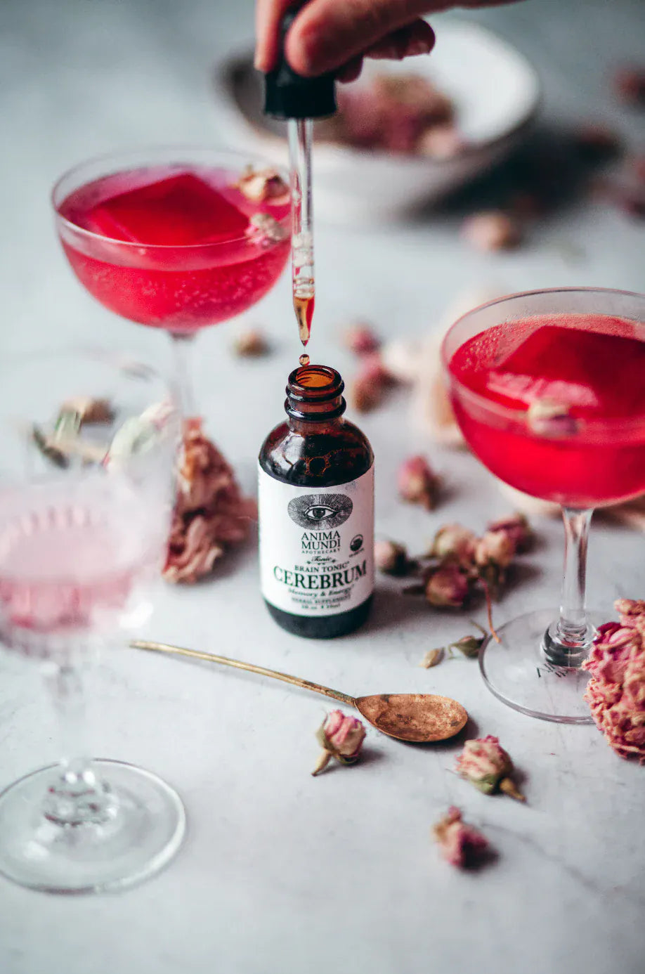Anima Mundi Herbal supplements CEREBRUM Tonic | Nootropic + Cognitive Support*