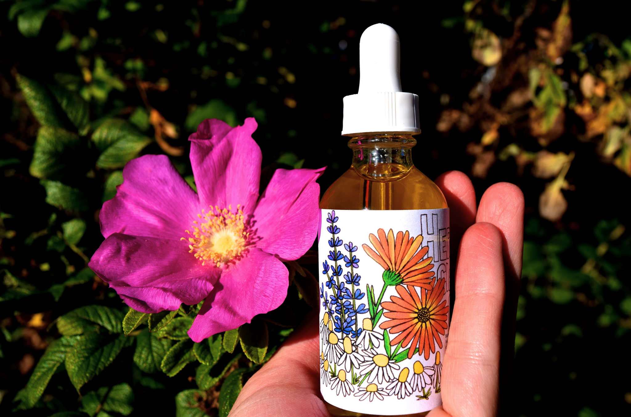Herbal Cleansing Oil - My American Goods