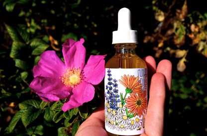 Herbal Cleansing Oil - My American Goods