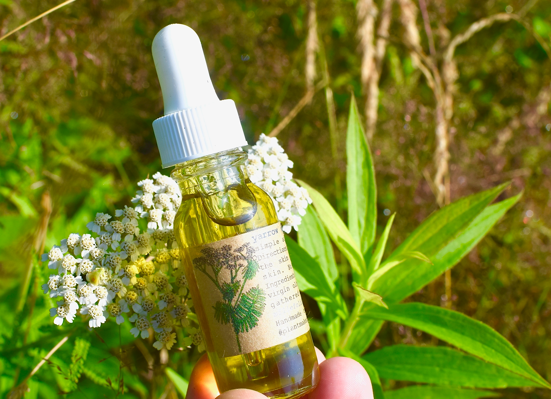 Yarrow Beauty Serum - My American Goods