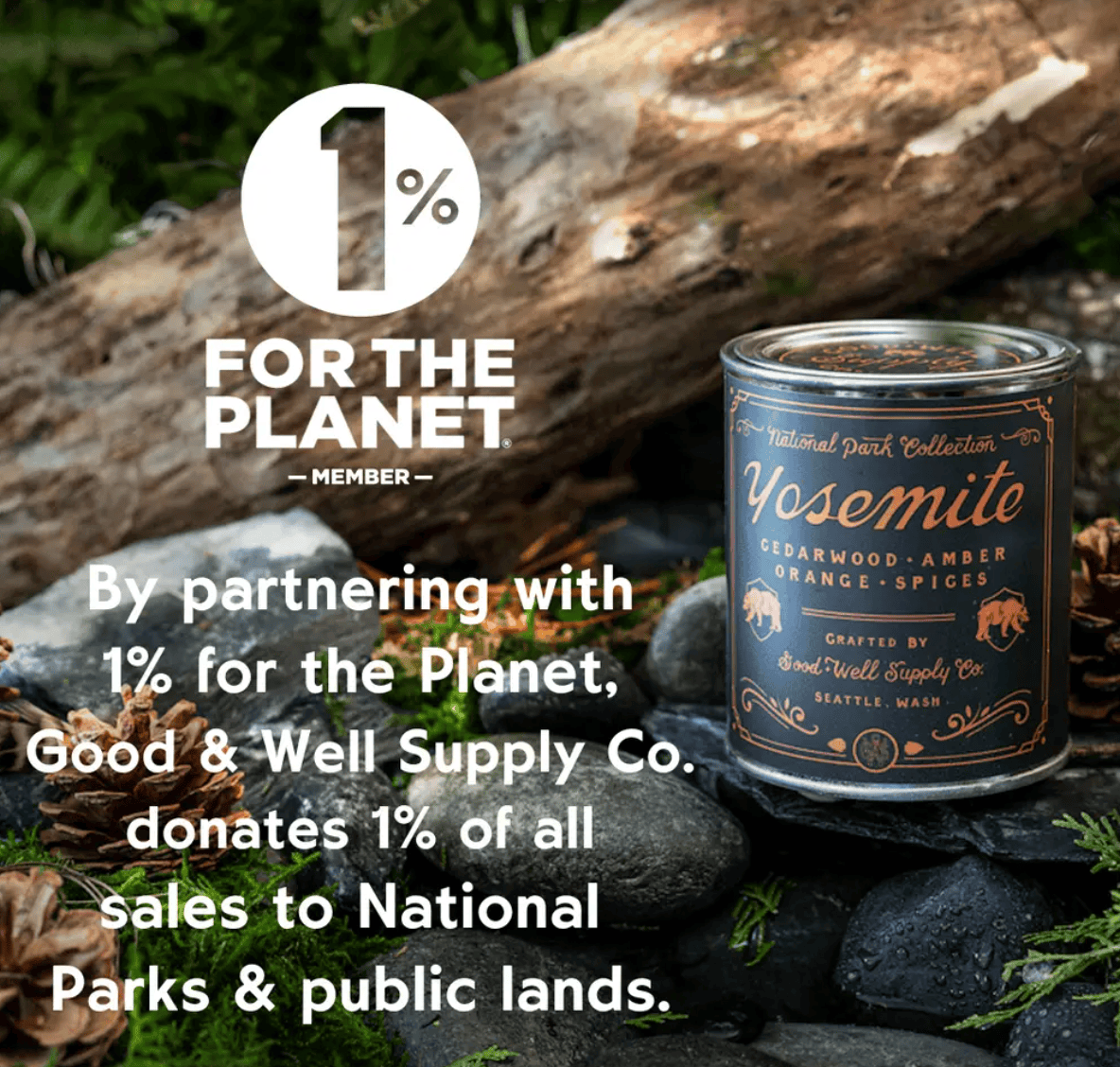 Good &amp; Well Supply Co Candles Arches National Park Candle