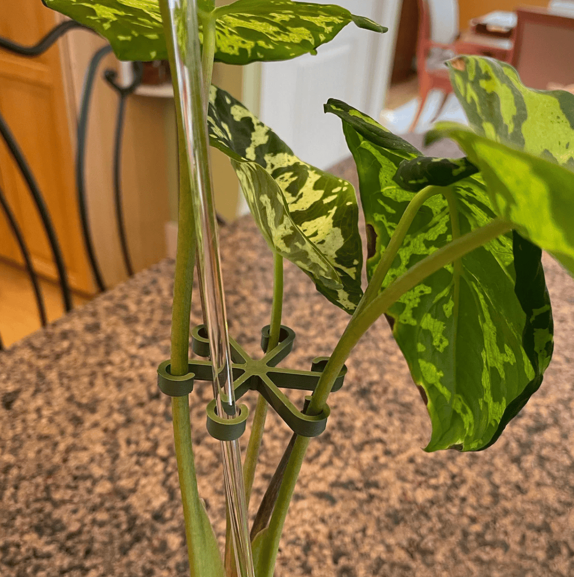 Rosebud HomeGoods Stem Support Plant Stem Supports