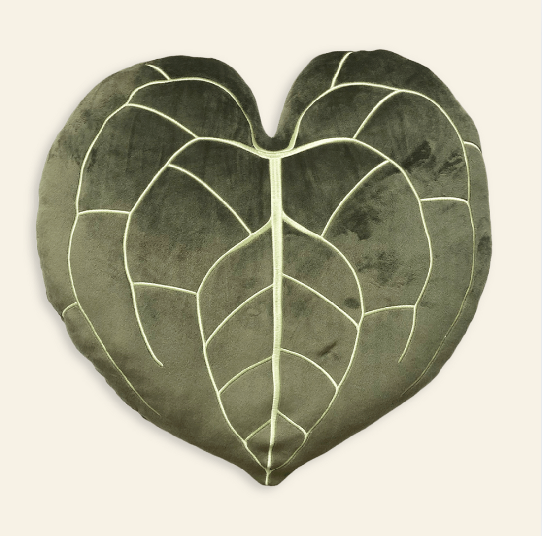 Anthurium Clarinervium - Khaki