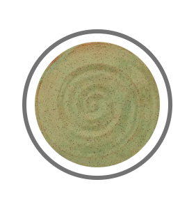Dinner Plate