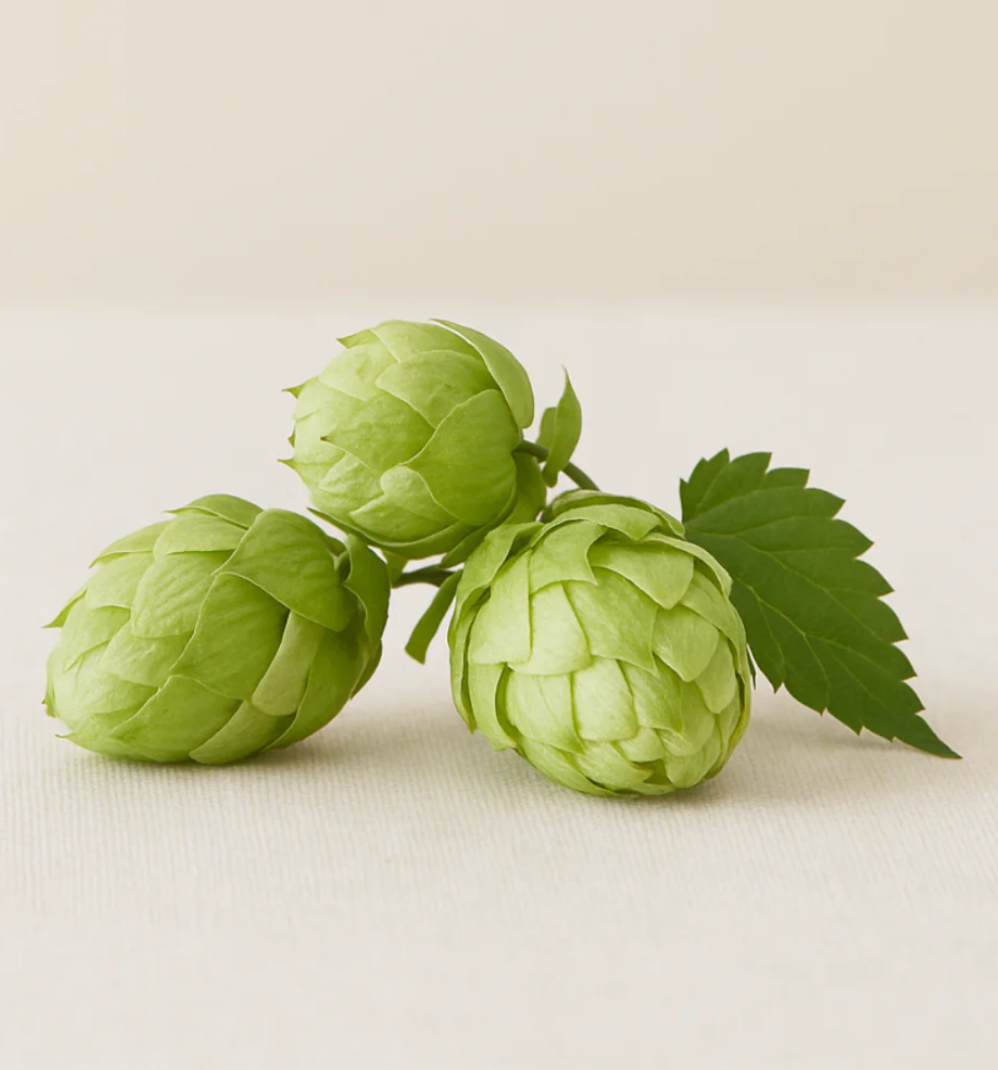 Limited Hop-Infused Growth Serum - My American Goods