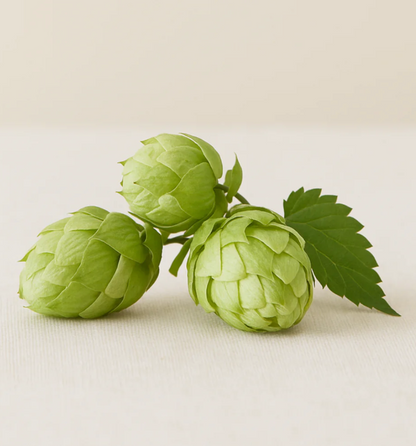 Limited Hop-Infused Growth Serum - My American Goods