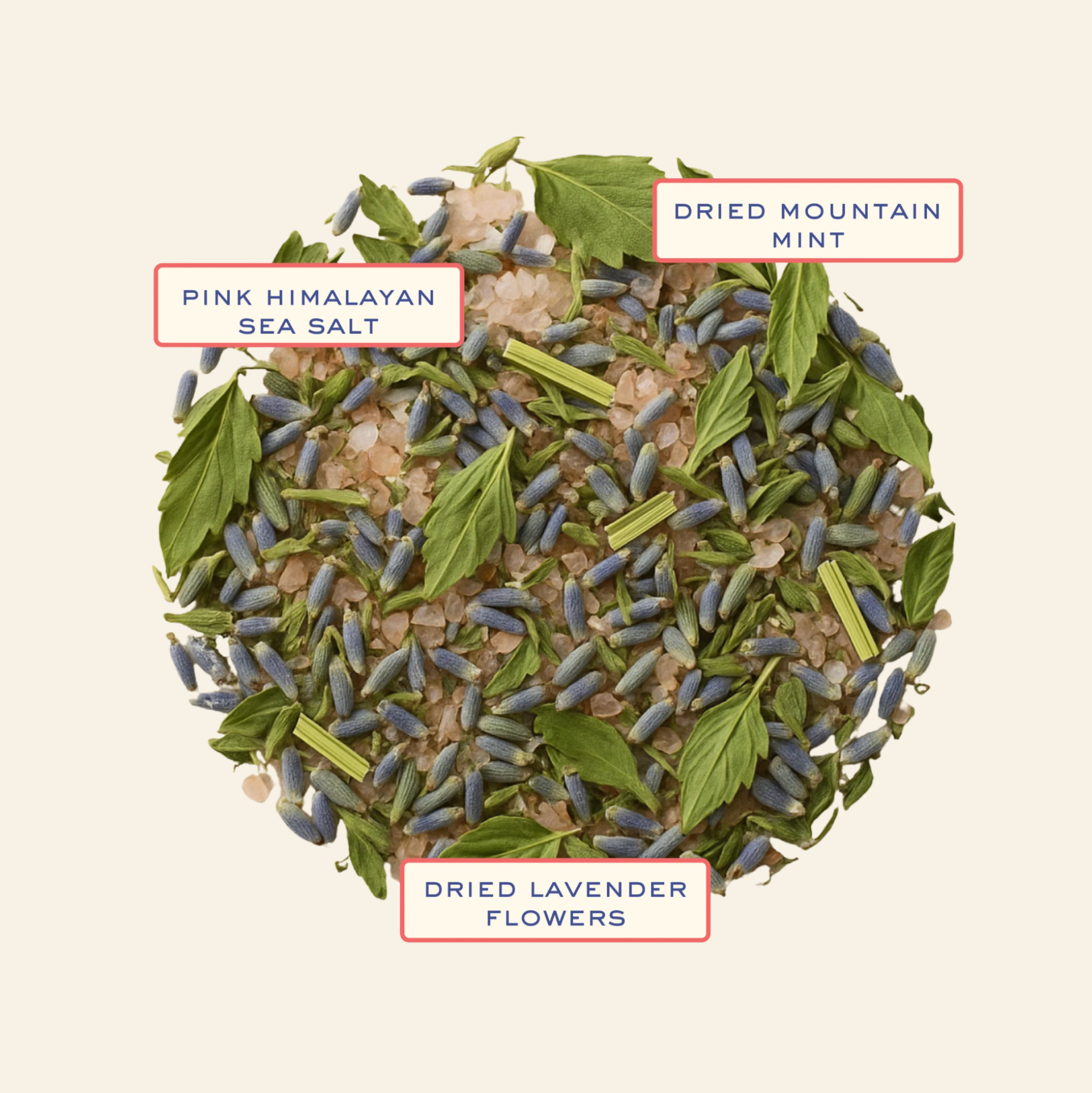 Reusable Laundry Bags (10 Pack)