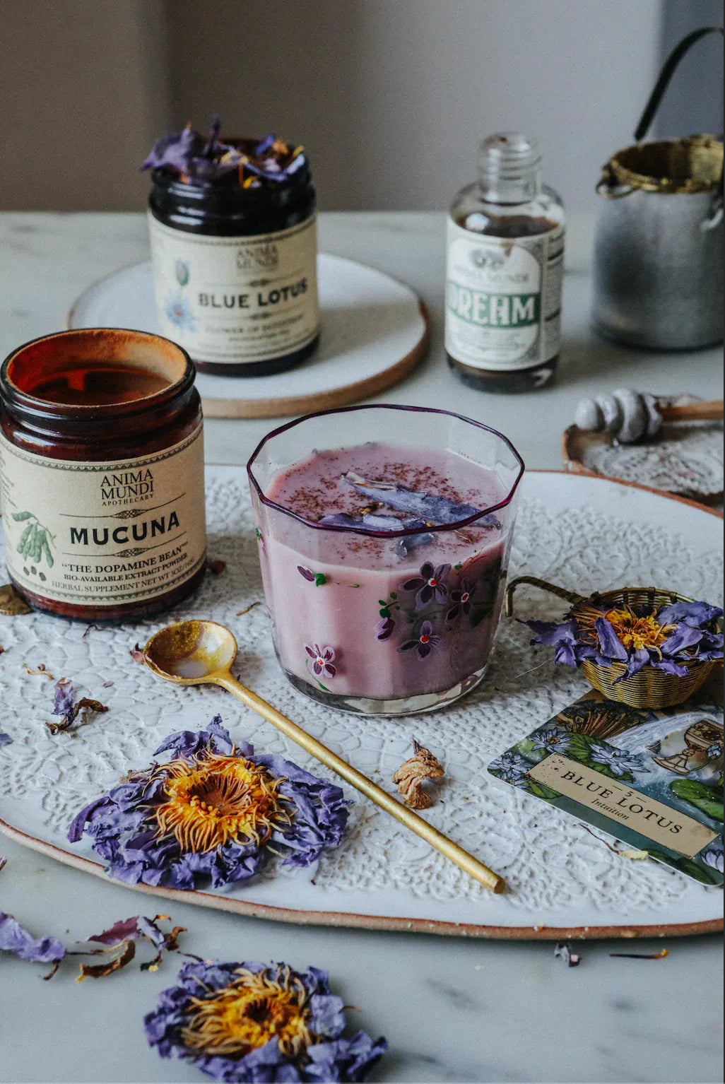 Anima Mundi Herbs DREAM Elixir | Rest + Relaxation*
